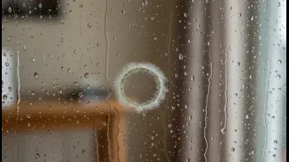 Before Acting, Renters and Home Cleaners Should Understand the Limits around Low-Chemical Monsoon Cleaning