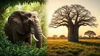 Related Stories banner