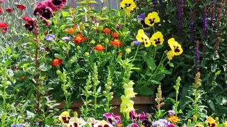 The Latest August Gardening Advice Adds New Weight To Buying Beyond Current Blooms