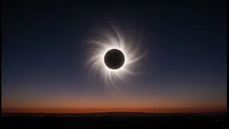 Indian Skywatchers, Students and Astronomy Enthusiasts Need a Clearer Guide to Global Totality