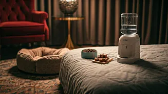Indian Hotels Need To Impress Pets Too