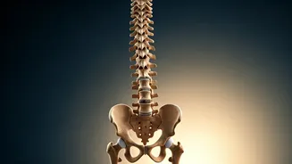 Transforming Sleep in India: A New Era of Restorative Nights