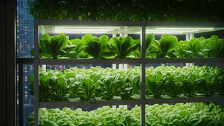 How Delhi Apartments Outsmart High Inflation Via Smart Vertical Farming