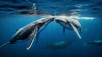 Whale Births: A Gentle Giggle from Nature's Gentle Giants!