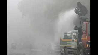 Vitamin C Can Protect Your Lungs From Air Pollution? This New Study Seems To Think So