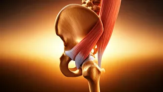 Related Stories banner