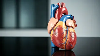 Daily Health Horizons: Your November 4, 2025 Guide