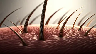 Hair Transplant Permanence: A Deep Dive into Lasting Solutions for Hair Loss