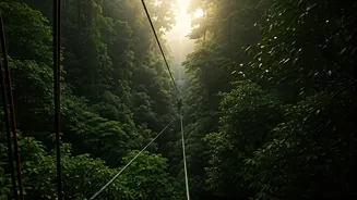 Fly Above Lush Forests This Monsoon
