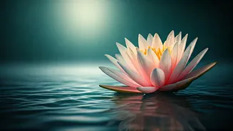 Mindfulness: Cultivating Love, Clarity, and Compassion for a Richer Life