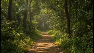How To Navigate Rural Goa Inland Trails For Authentic Local Culture Interventions This Season