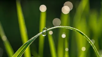 4 Simple Meditation Challenges to Master Your Focus