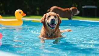 Pet Pool Party Playdates Emerge As Coolest Community Trend