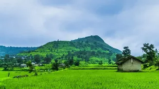 How To Compare Rain Forecasts Before Booking A Monsoon Getaway