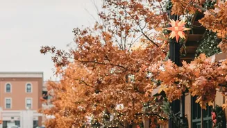 Plan your October festival getaway