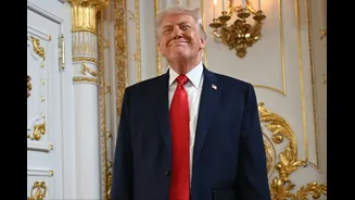 'Let's Buy California': Danish Petition Promises Sandwiches, Lifetime Supply Of Pastries To Hollywood