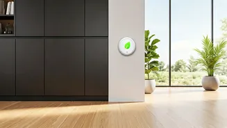 Energy Efficiency Is Becoming A Lifestyle Design Choice