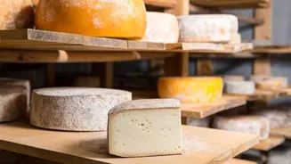 Want to learn about cheese making? Keep reading