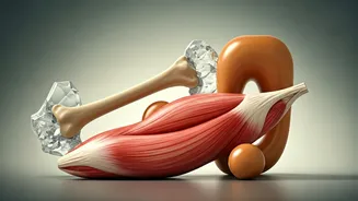 Beyond 30: Combating Silent Muscle and Bone Loss for Lifelong Vitality