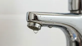 Tap Water's Impact on Your Skin: What You Need to Know