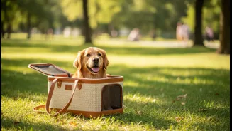 A Pet Can Learn That the Carrier Also Leads to Neutral Outings