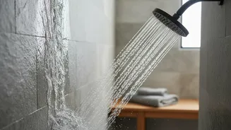 Brief Cold Shower Exposure Improves Daily Focus And Speeds Stress Recovery Studies Show