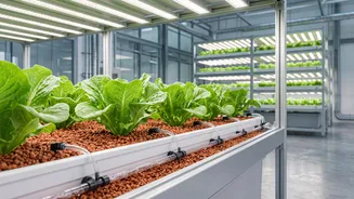 How Science Experiments On Earth Could Prepare Humans For Farming On Mars