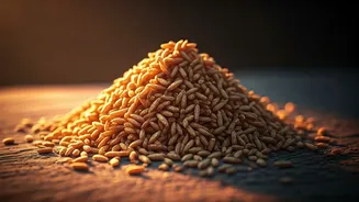 Stop Wasting Food: Turn Leftover Rice Into Sandige