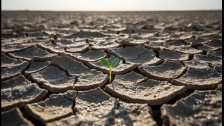 Salt-Stressed Crops Need New Research Attention
