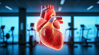 Prevent Heart Failure: Exercise Guide for a Healthy Heart