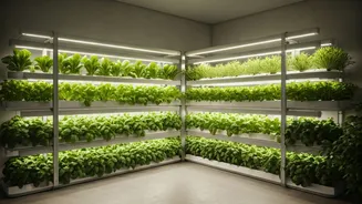 How Hydroponic Maintenance Networks Scaled Across Luxury Housing Estates