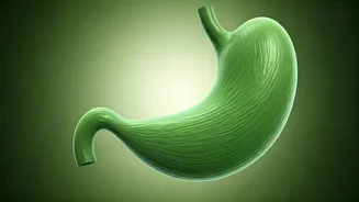 21-Day Belly Fat Blast: A Doctor's Guide