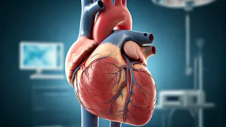 Unveiling the Mysterious Causes of Fatigue in Men