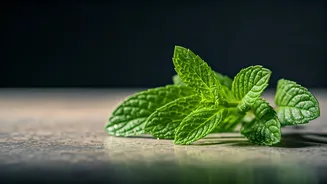 Unlock a Healthier Smile: 5 Amazing Ways to Use Wild Mint for Superior Oral Care