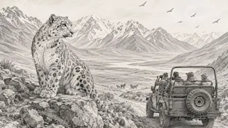 A Wildlife Safari At 10,000 Feet? Ladakh Launches India's First Snow Leopard Safari