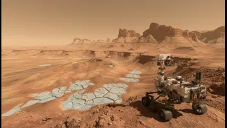 Researchers Say The Shelf Region Could Be Ideal For Future Mars Landers