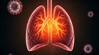 Kerala's Worsening Post-Viral Cough Outbreak: Symptoms, Causes, and Relief