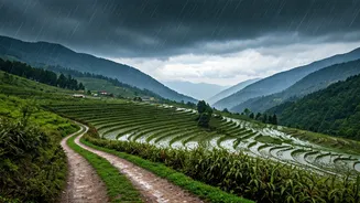 Why Gen Z Loves North India's Rainy Landscapes
