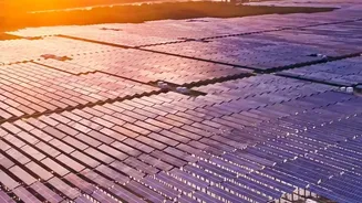 Farm Income Explains What India's Latest Agrivoltaics Drive Means for Farmers and Policymakers
