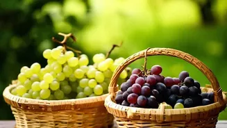 How Precision Agriculture Drones Improve Grape Quality Across Nashik Farms