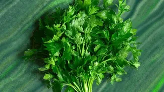 Parsley Recipe Ideas In Context: Using Parsley In Everyday Home Cooking