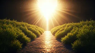 7 Powerful Morning Affirmations to Transform Your Day and Mindset