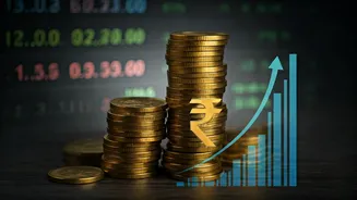 RBI Governor: Domestic Growth Fuels Foreign Investment