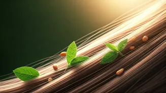 Related Stories banner