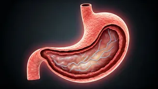 Unlock Digestive Comfort: Why You Feel Full Too Soon & How to Fix It