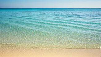 8 Stunning Indian Beaches to Explore Now!