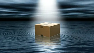 Noida Delivery Agent's Heroic Swim to Rescue a Techie