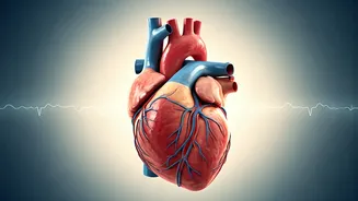 Related Stories banner