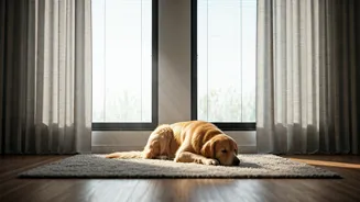 Natural Ventilation Design Works Wonders For Anxious House Dogs