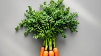 Set Clear Rules For Delicate Vegetables When Planning A Use-First Produce Box